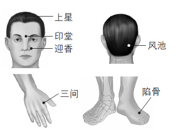 鼻塞、打鼾等鼻子問題的防治